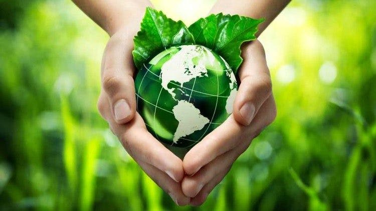 New Year Resolution: Register in Laudato Si’ Action Platform, a Global Community