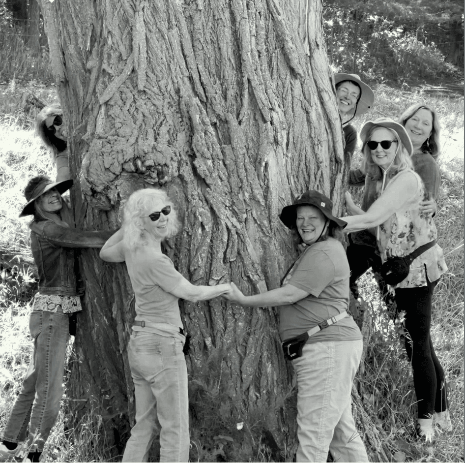 Are you a tree hugger?
