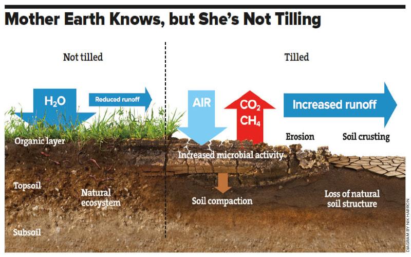 Caring for Our Mother Earth