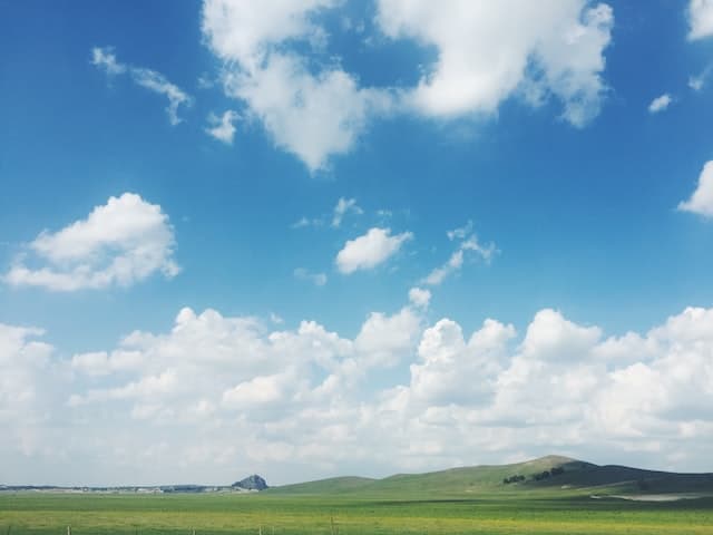 Grasslands, Pollinators, and Our Health