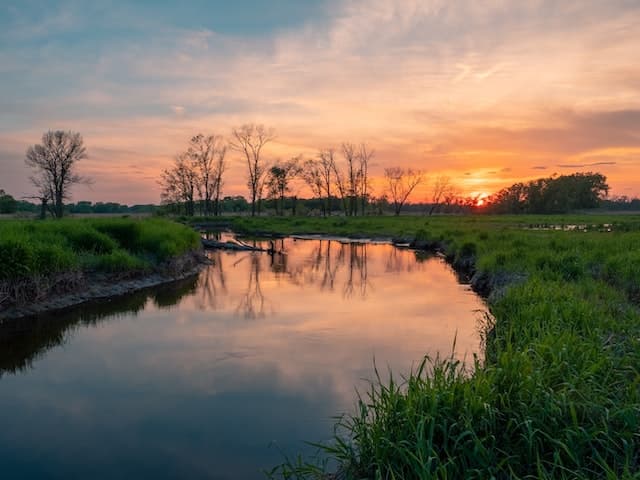 Wetlands Clean Air and Water, and Save Soil